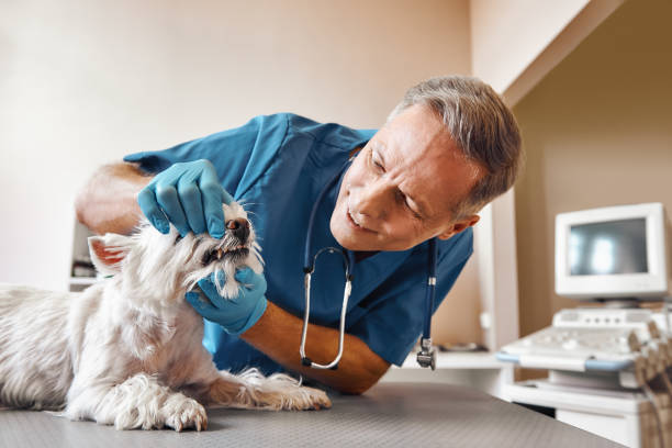 Best Emergency Denture Repair in Central High, OK